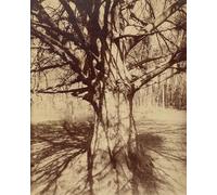 ARToPHIIU Imagen de Lienzo Impresión de Imagen Clásicas Poster Tree Roots Saint Cloud de Eugène Atget para Decoraciones del Hogar 60x90cm