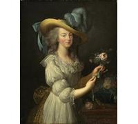 ARToPHIIU Impresiones de Lienzo Decorativo Cuadro Retrato de la reina María Antonieta de Francia después de Elisabeth Louise Vigee Lebrun para la Decoración del Hogar del Dormitorio 60x90cm