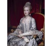 ARToPHIIU Pared Arte Cuadro Artistica Imagen Lienzo Famosa Pintura Reproducción Marie Louise Retrato de la infanta María Luisa de España por Anton Raphael Mengs para Decoración de Paredes 60x90cm