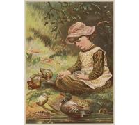 ARToPHIIU Pared Arte Cuadro Artistica Imagen Lienzo Famosa Pintura Reproducción Niña alimentando patitos de Mary Ellen Edwards para Decoración de Paredes 60x90cm