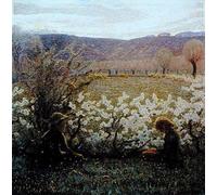 ARToPHIIU Pinturas al óleo Clásicas Impresiones de Lienzo Decorativo Cuadro Campo en flor de Giuseppe Pellizza Da Volpedo para la Decoración del Hogar del Dormitorio 60x90cm