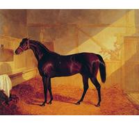 ARToPHIIU Pinturas Famosas Pinturas Murales Cuadro Moderno Lienzo Charles Xii de Johnstone en un establo de John Frederick Herring Snr para la Decoración de la Sala de Estar 60x90cm