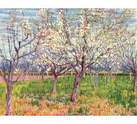 ARToPHIIU Pinturas Famosas Pinturas Murales Cuadro Moderno Lienzo Huerto en flor de Vincent van Gogh para la Decoración de la Sala de Estar 60x90cm