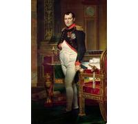 ARToPHIIU Pinturas Famosas Pinturas Murales Cuadro Moderno Lienzo Napoleón Bonaparte en su estudio en las Tullerías de Jacques Louis David para la Decoración de la Sala de Estar 60x90cm