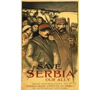 ARToPHIIU Pinturas Murales Cuadro Moderno Lienzo Salvemos a Serbia nuestro aliado Envíe contribuciones al Comité de Ayuda Serbio de América para la Decoración de la Sala de Estar 60x90cm