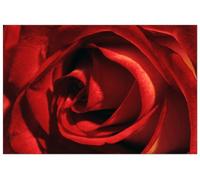 Artopweb Studio - Rosa Rossa (Panel Decorativo 90x60 cm)