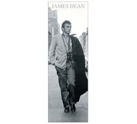 Artopweb TW18703 James Dean Panel Decorativo, Multicolor, 53x158 Cm