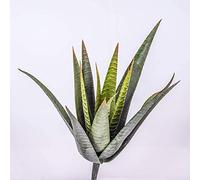 artplants.de Aloe Vera Artificial con 15 Hojas, Verde, en Vara de Ajuste, 35cm - Planta Artificial - Planta Decorativa