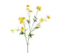 artplants.de Botón de Oro Artificial Nora con 12 Flores, 3 capullos, Amarillo, 70cm - Hierba belida - ranúnculo
