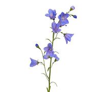 artplants.de Campanula Artificial con 8 Flores, Azul, 65cm, Ø 5cm - Flor Decorativa - Planta sintética