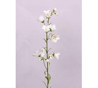 artplants.de Decorativa Campanula con 8 Flores, Blanco, 65cm, Ø 5cm - Planta Artificial - Flor sintética