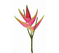artplants.de Flor Heliconia Textil TOMKE, Rosa-Verde, 80cm, Ø30cm - Falsa Strelitzia - Planta Tropical Artificial