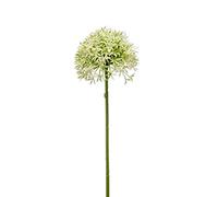 artplants.de Flor Textil de Allium ARNAU, Crema-Verde, 60cm - Allium Artificial - Ajo Ornamental Decorativo