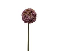 artplants.de Flor Textil de Allium BOUTROS, Violeta, 75cm - Allium Artificial - Ajo Ornamental Decorativo