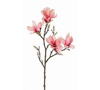 artplants.de Magnolia Estrellada Textil Azula, Rosa, 60cm, Ø7-9cm - Magnolia Artificial/Flor simulada