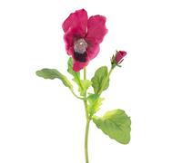 artplants.de Pensamiento Melinda, Fucsia, 20cm - Pensamiento Artificial - Flor Decorativa