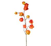 artplants.de Rama Artificial de Physalis PERSEI con Frutos, Naranja, 80cm