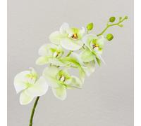 artplants.de Rama de Orquídea Phalaenopsis sintética Ophelia, 80cm