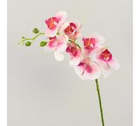 artplants.de Rama de Orquídea Phalaenopsis sintética Ophelia, 80cm