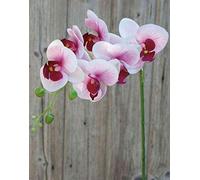 artplants.de Rama de Orquídea Phalaenopsis sintética Ophelia, Rosa-Fucsia, 80cm - Flor Textil/Orquídea Artificial
