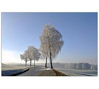 ArtPlaza Panel Decorativo-Art Studio Wintry, Madera, Multicolor, 90x1.8x60 cm