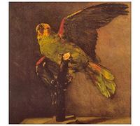 ArtPlaza Panel Decorativo-Van Gogh Vincent Parrot, Madera, Multicolor, 50x1.8x50 cm