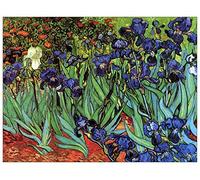 ArtPlaza Van Gogh Vincent-Irises Panel Decorativo, Madera MDF, Multicolor, 120x90 Cm