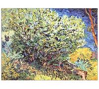ArtPlaza Van Gogh Vincent-The Bush Panel Decorativo, Madera MDF, Multicolor, 80x60 Cm