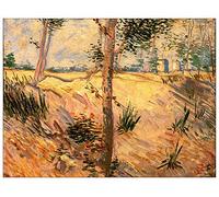 ArtPlaza Van Gogh Vincent-Trees in a Field on a Sunny Day Panel Decorativo, Madera MDF, Multicolor, 80x60 Cm