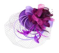 ARTSEWPLY Fascinador de Pluma y Malla para Mujer Clip y Diadema Elegante para Fiestas de y Bodas Accesorio de Cabello Multifuncional