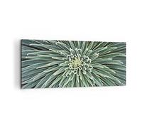 ARTTOR Cuadro Decorativo 100x40cm Moderno Panorámico Botánica Flores - 4905