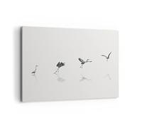 ARTTOR Cuadro Decorativo 100x70cm Horizontal Blanco y Negro Animales - 5096