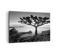 ARTTOR Cuadro Decorativo 100x70cm Horizontal Botánica Blanco y Negro - 4297