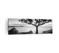 ARTTOR Cuadro Decorativo 160x50cm Panorámico Botánica Blanco y Negro - 4297 | Árbol Y Negro Cuadro sobre Lienzo Grande Arte mural Decoración del Hogar Salón Dormitorio Cocina Oficina Cuadros de Pared
