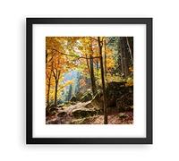 ARTTOR Cuadro Póster 30x30 cm Marco Negro Paisajes Naturaleza - 2713 - P2B | Otoño Montaña Bosque Cuadros de Pared Decoración Cuadro Decorativo Salón Dormitorio Cocina Lámina Cuadros de Pared ARTTOR