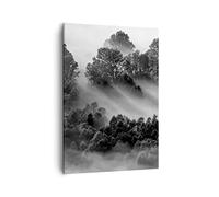 ARTTOR Cuadro sobre Lienzo 50x70 cm Moderno Vertical Blanco y Negro Paisajes - 4510