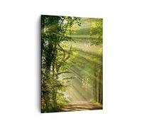 ARTTOR Cuadro sobre Lienzo 50x70 cm Moderno Vertical Paisajes Bosque - 3661