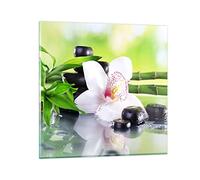 ARTTOR Decoracion Salon flor orquídea Vidrios decorativos 50x50cm Cuadro Sobre Vidrio Moderno Dormitorio Cocina Cuadros Pared Impresiones Impresión en Cristal Wall Art Prints Decor GAC50x50-3659