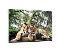 ARTTOR Decoracion Salon Tigre Selva Descanso Vidrios decorativos 120x80cm Cuadro Sobre Vidrio Moderno Cocina Cuadros Pared Impresiones Impresión en Cristal Wall Art Prints Grande XXL GAA120x80-4166