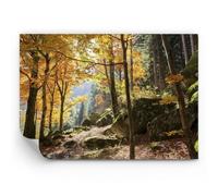 ARTTOR Fotomural 100x70 cm Papel Pintado Paisajes Naturaleza - 2713 - WF3