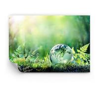 ARTTOR Fotomural 100x70 cm Papel Pintado Paisajes Naturaleza - 4041 - WF3