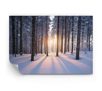 ARTTOR Fotomural 350x256 cm Papel Pintado Paisajes Bosque - 3629 - WF3