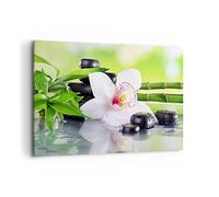ARTTOR Lienzos decorativos 100x70cm Cuadro Sobre Lienzo Moderno flor orquídea Grande Dormitorio Cocina Cuadros Pared Imágenes Cuadros Decoracion Salon Wall Art Prints Decor Canvas AA100x70-3659