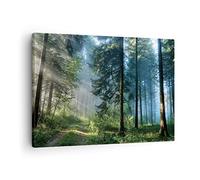 ARTTOR Lienzos decorativos Bosque Amanecer El Sol Cuadro Sobre Lienzo Moderno 70x50cm Cuadros Decoracion Salon Dormitorio Cocina Cuadros Pared Imágenes Wall Art Prints Decor Canvas AA70x50-4398