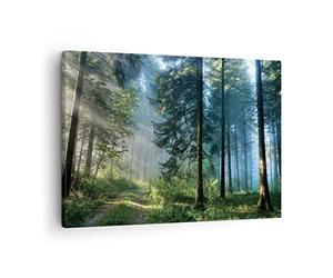 ARTTOR Lienzos decorativos Bosque Amanecer El Sol Cuadro Sobre Lienzo Moderno 70x50cm Cuadros Decoracion Salon Dormitorio Cocina Cuadros Pared Imágenes Wall Art Prints Decor Canvas AA70x50-4398
