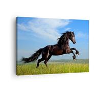 ARTTOR Lienzos decorativos Caballo negro caballo galope Cuadro Sobre Lienzo Moderno 70x50cm Cuadros Decoracion Salon Dormitorio Cocina Cuadros Pared Imágenes Wall Art Prints Decor Canvas AA70x50-0495