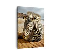 ARTTOR Lienzos decorativos Cebra Playa Campo Cuadro Sobre Lienzo Moderno Vertical 50x70cm Cuadros Decoracion Salon Dormitorio Cocina Cuadros Pared Imágenes Wall Art Prints Decor Canvas PA50x70-0213