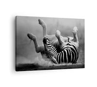 ARTTOR Lienzos decorativos Cebra rayas animales salvaje Cuadro Sobre Lienzo Moderno 70x50cm Cuadros Decoracion Salon Dormitorio Cocina Cuadros Pared Imágenes Wall Art Prints Decor Canvas AA70x50-2699