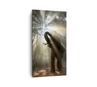 ARTTOR Lienzos decorativos elefante Cuadro Sobre Lienzo Moderno Vertical 45x80cm Cuadros Decoracion Salon Dormitorio Cocina Cuadros Pared Imágenes Wall Art Prints Decor Canvas PA45x80-3835
