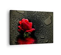 ARTTOR Lienzos decorativos Flor rosa roja agua rocío Cuadro Sobre Lienzo Moderno 70x50cm Cuadros Decoracion Salon Dormitorio Cocina Cuadros Pared Imágenes Wall Art Prints Decor Canvas AA70x50-2367